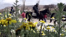 Kapadokya 'çiçek açtı' - NEVŞEHİR