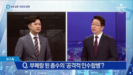 아시아나 매각 부른 ‘승자의 저주’…세 가지 사건은?