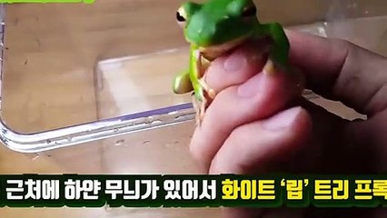 영통출장안마 -후불100%ョØ7Øv7575fØØ54｛카톡KC789}영통전지역출장마사지샵'예약'영통출장qc안마es영통출장안마 cos여3영통출장마사지황형ぜそた영통콜걸