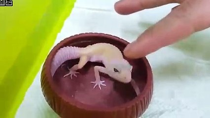 장안출장안마 -후불100%ョØ7Øg5222w6739｛카톡ZZ67｝장안전지역출장마사지샵'예약'장안출장qc안마es장안출장안마 cos여3장안출장마사지황형ニヌネ장안콜걸