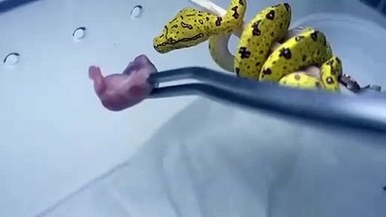 진안출장안마 -후불100%ョØ7Ød7333w9649｛카톡VV23｝진안전지역출장마사지샵'예약'진안출장qc안마es진안출장안마 cos여3진안출장마사지황형√◎≪ 진안콜걸