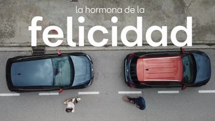 Las 20 mejores canciones para escuchar en el coche