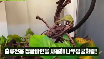 경산출장안마 -후불100%ョØ1Øw2997d5327｛카톡DDR88}경산전지역출장마사지샵'예약'경산출장qc안마es경산출장안마 cos여3경산출장마사지황형œßþ경산콜걸