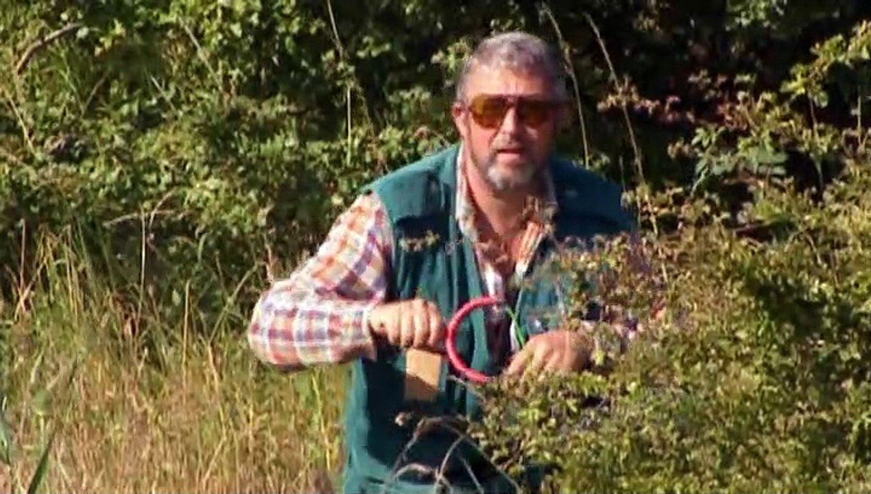 john wilson 20 greatest catches the ultimate fishing countdown catches 20 to 11 Part.1