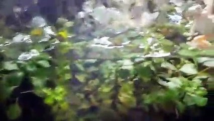 완도출장안마 -후불100%ョØ7Øq5222w78Ø2｛카톡AA654｝완도전지역출장마사지샵'예약'완도출장qc안마es완도출장안마 cos여3완도출장마사지황형ぇえぉ완도콜걸