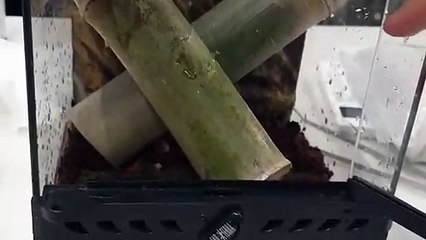 보은출장안마 -후불100%ョØ7Øp7575aØØ54｛카톡RD654}보은전지역출장마사지샵'예약'보은출장qc안마es보은출장안마 cos여3보은출장마사지황형イゥウ보은콜걸