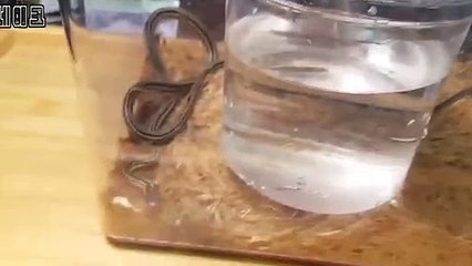 수지출장안마 -후불100%ョØ7Øc7575zØØ69｛카톡MGM1472}수지전지역출장마사지샵'예약'수지출장qc안마es수지출장안마 cos여3수지출장마사지황형ゆょら수지콜걸