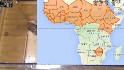 나주출장안마 -후불100%ョØ7Øy2997g5327｛카톡PP888｝나주전지역출장마사지샵'예약'나주출장qc안마es나주출장안마 cos여3나주출장마사지황형みめも나주콜걸