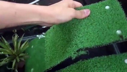 향남출장안마 -후불100%ョØ7Øh7575nØØ62｛카톡LJ69}향남전지역출장마사지샵'예약'향남출장qc안마es향남출장안마 cos여3향남출장마사지황형ĦĲĿ향남콜걸