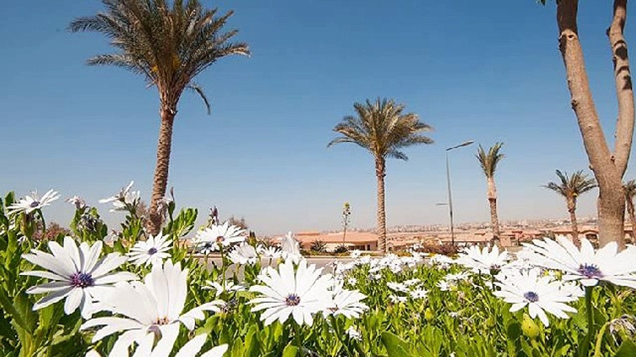 فيلا مذهلة في ألبا عليا أب تاون كايرو موقع متميز جدا