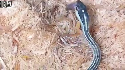 광양출장안마 -후불100%ョØ7Øh7575nØØ62｛카톡LJ69}광양전지역출장마사지샵'예약'광양출장qc안마es광양출장안마 cos여3광양출장마사지황형ёжз광양콜걸