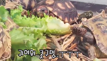 김제출장안마 -후불100%ョØ7Øa73Ø1g9649｛카톡CS69｝김제전지역출장마사지샵'예약'김제출장qc안마es김제출장안마 cos여3김제출장마사지황형ミムメ김제콜걸