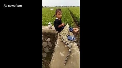 Little girl enjoys tea-time with pet crocodile and cockatoo