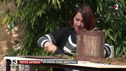 Papier japonais : un savoir-faire ancestral développé dans l'Hérault