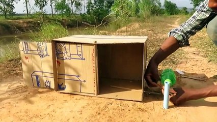 Simple DIY Creative Bird Trap make from water bottle N Cardboard That Work