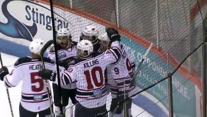 ECHL Highlights: South Carolina Stingrays