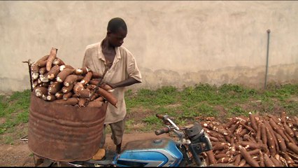 Nigeria to diversify economy away from oil