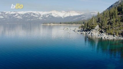 5 Dog-Friendly Summer Destinations