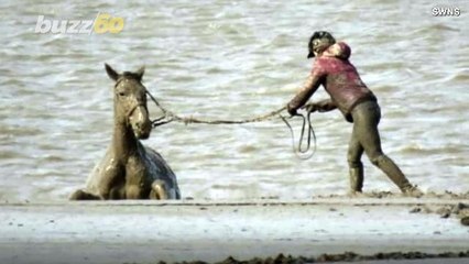 Muddy Mayhem! Multiple Rescue Teams Free Horse And Rider Trapped In Mud!