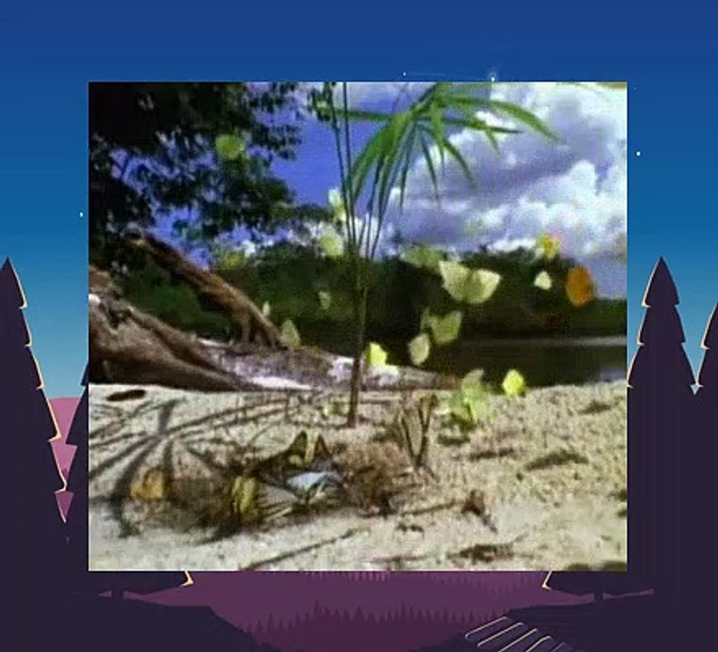 baby van gogh world of colors