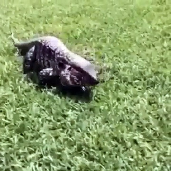 Scary or not. just focus