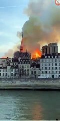 INCENDIE  le clocher de La cathédrale Notre-Dame de Paris s'effondre