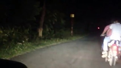 Un lynx saute sur une moto en pleine route...