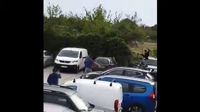 Arles : un taureau camarguais s'échappe des arènes, il est rattrapé sur le parking
