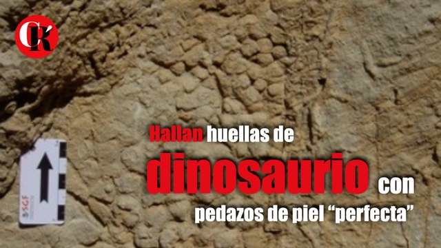 Hallan huellas de dinosaurio con pedazos de piel “perfecta”