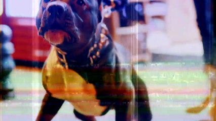 Kodes - Gidiyorum Hedefe