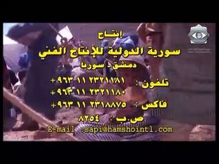 مسلسل التغريبة الفلسطينية الحلقة 13