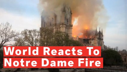 Download Video: Donald Trump, World Reacts To Notre Dame Cathedral Fire