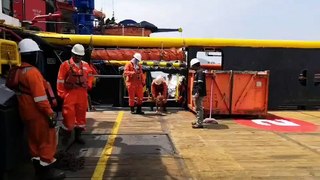 Dog Rescued By Oil Rig Workers, 220 Kilometers Away from Land in the Gulf of Thailand