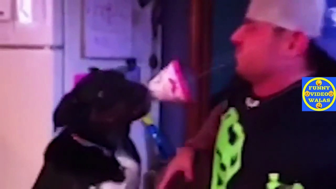 FUNNY VIDEO ep 130