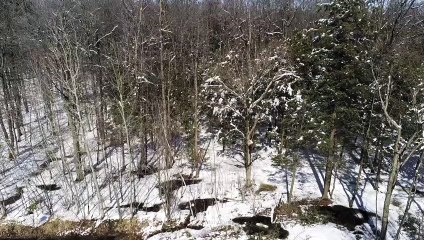 Drone  - Les dernières neiges du printemps 2019