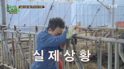 [예고] 풀뜯소 최초 방송 중단?! ′기묘한 농장편′