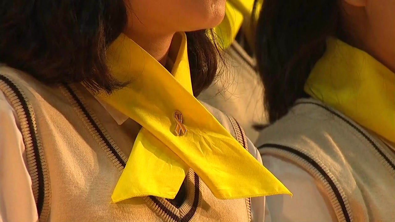 "그립고 그립고 그리운"...단원고 추모식 / YTN