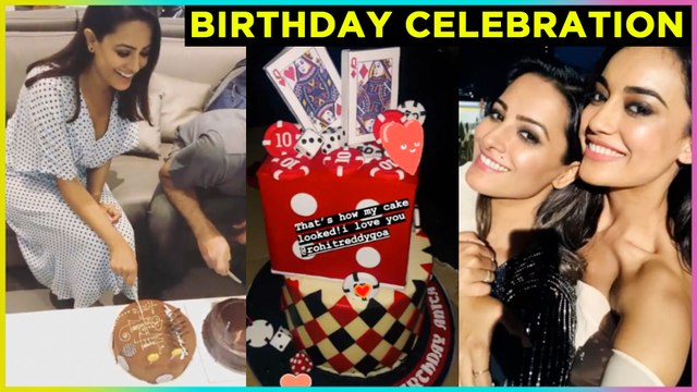 Anita Hassanandani GRAND birthday Celebration | Rannvijay, Vikas Gupta, Chetna Pande