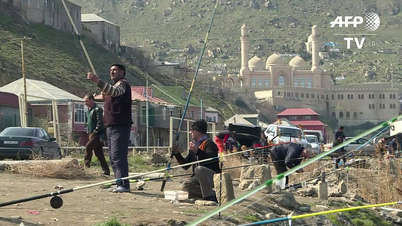 Seals, caviar and oil: Caspian Sea under threat from pollution