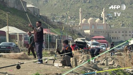 Seals, caviar and oil: Caspian Sea under threat from pollution