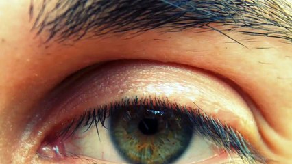 Palos Verdes Optometrist