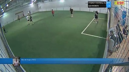 But de hugo (15-5) - FITZROY FOOTBALL CLUB  Vs LES MICKEYS - 15/04/19 21:00 - LIGUE 4