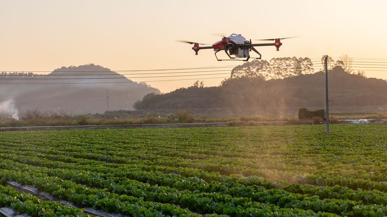 Pesticide-spraying drones rise to challenge of China’s ‘intelligent agriculture’ ambition