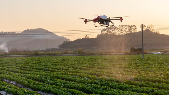 Pesticide-spraying drones rise to challenge of China’s ‘intelligent agriculture’ ambition