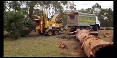 Tall timbers tree services - Tree shredder