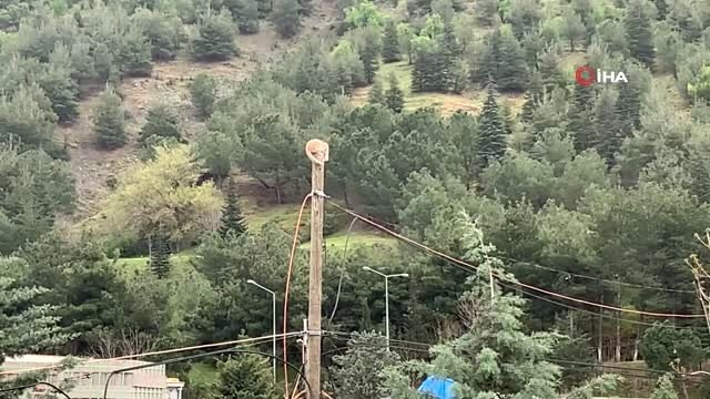 Direkte Mahsur Kalan Kedi Sınavı Erteletti...kedinin Kurtarılma Anları Kamerada