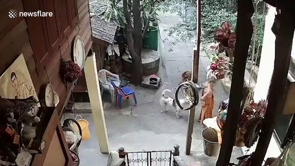 Buddhist monk caught on CCTV repeatedly beating disabled man in Thailand