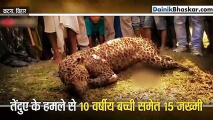 तेंदुए ने एक बच्ची सहित 15 पर किया हमला, गांव वालों ने ली उसकी जान