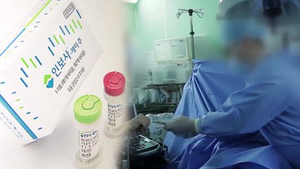 '인보사' 사태...'고의성·안전성' 규명이 핵심! / YTN