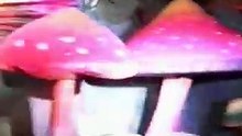 사다리게임플래시 https://www.nologo02.com｛ˇ카지노사이트ˇ｝